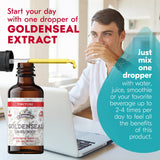 Aroma herbal suave de Goldenseal Tincture FLORIDA HERBS para uso diario.