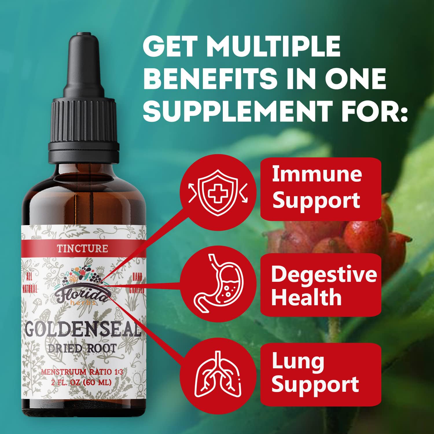 FLORIDA HERBS Goldenseal Tincture con etiqueta orgánica y transparencia de ingredientes.