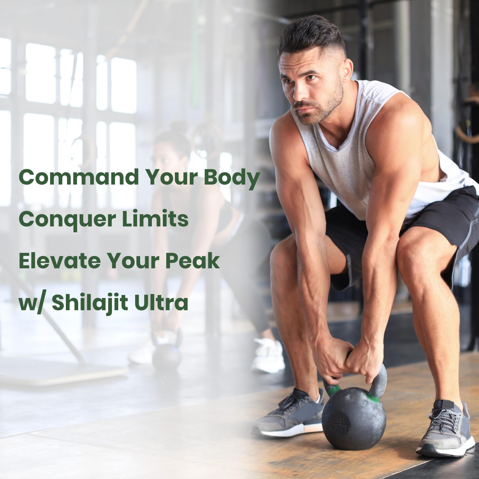 Flynew Shilajit combinación de ingredientes para apoyo integral.