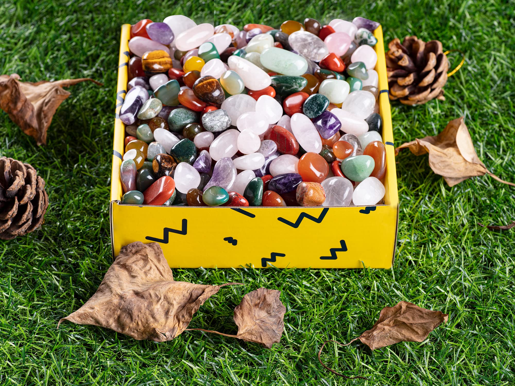 Arreglos de plantas con piedras FORBY para jardinería interior.