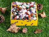Arreglos de plantas con piedras FORBY para jardinería interior.