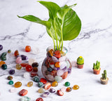 Regalo FORBY decorativo, perfecto para sorprender con estilo.