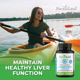 ForestLeaf Absorción máxima con formula vegetal para mayor biodisponibilidad.