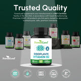 ForestLeaf Cápsulas vegetales: formato vegetariano para consumo diario.