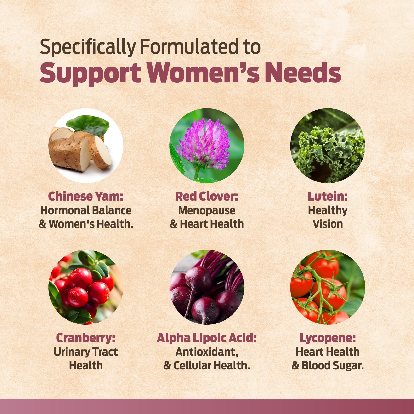 ForestLeaf Energía y enfoque: vitaminas para mantener la claridad durante el día.