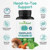 ForestLeaf Metabolismo energético: ayuda al metabolismo diario y transporte de oxígeno.