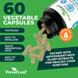 ForestLeaf Soporte inmunológico para Higado y Riñones con plantas.