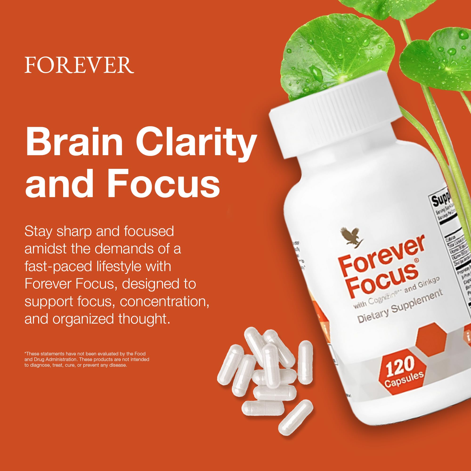 Forever Focus: fórmula con B12 y B6 para energía diaria.