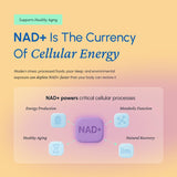 Fortematic NAD+ Resveratrol: cápsulas listas para uso diario y apoyo celular