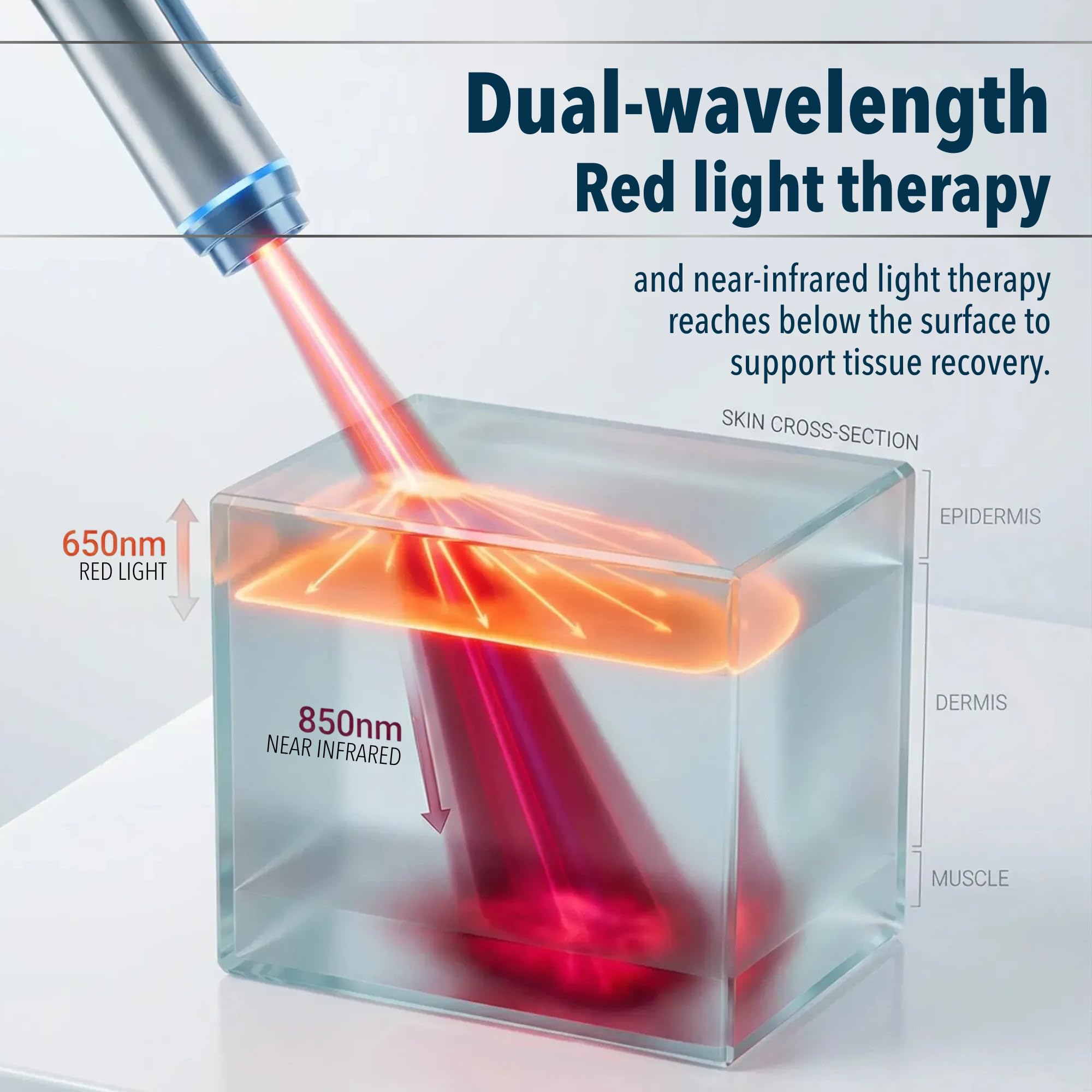 La FORTHiQ RED+ con 52 diodos LED ofrece iluminación amplia para terapia de luz.