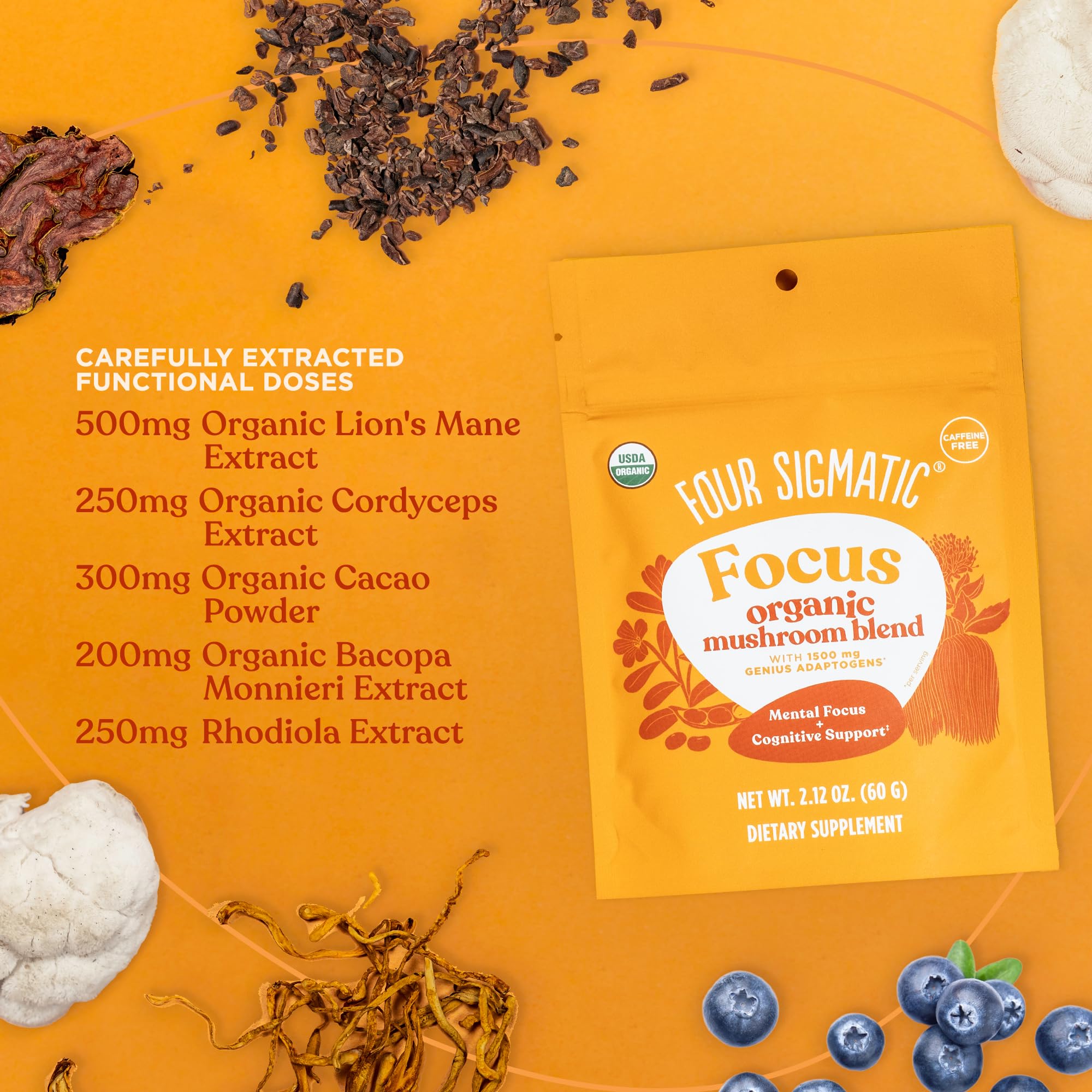 Four Sigmatic Focus Blend arándano orgánico polvo para antioxidantes y foco