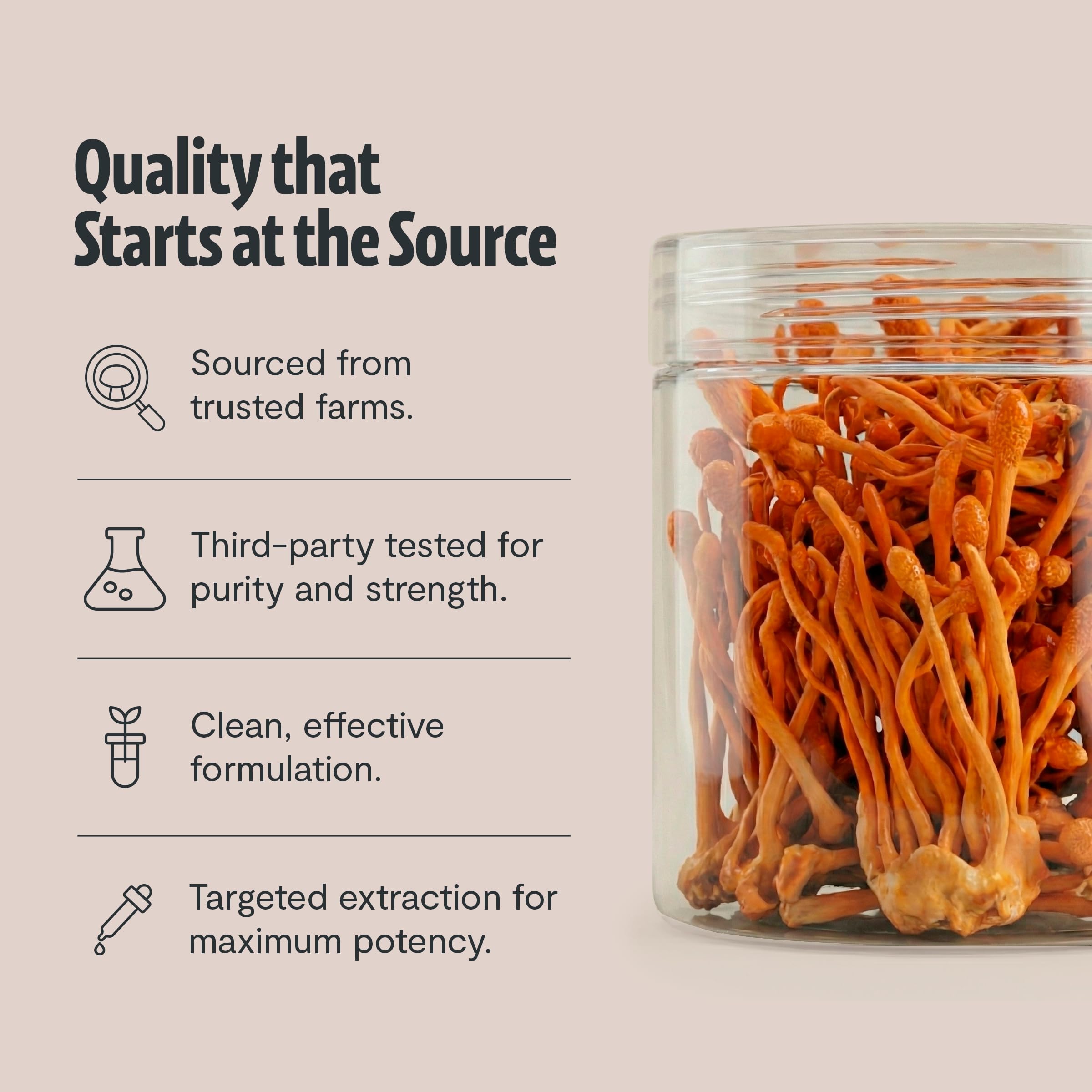 Batido con Cordyceps FreshCap para vitalidad