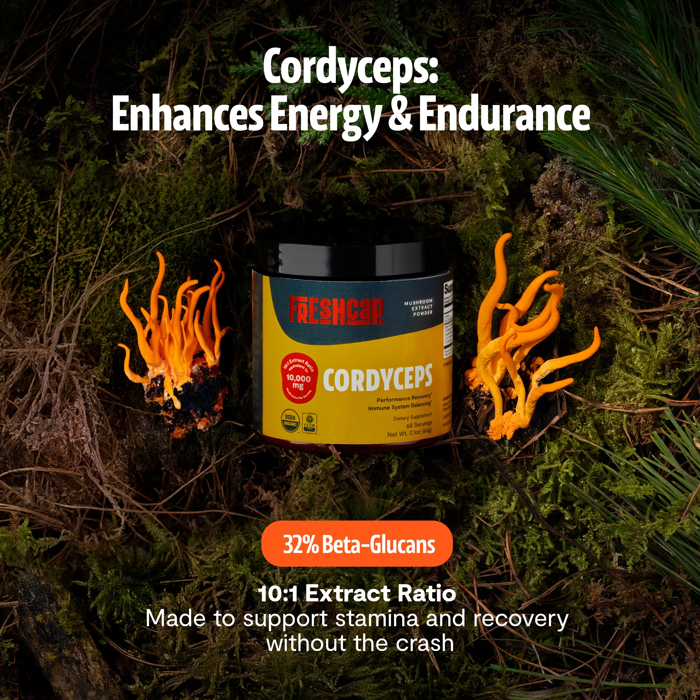 Cucharilla de Cordyceps FreshCap para porciones diarias