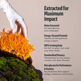 Textura en polvo de Cordyceps FreshCap