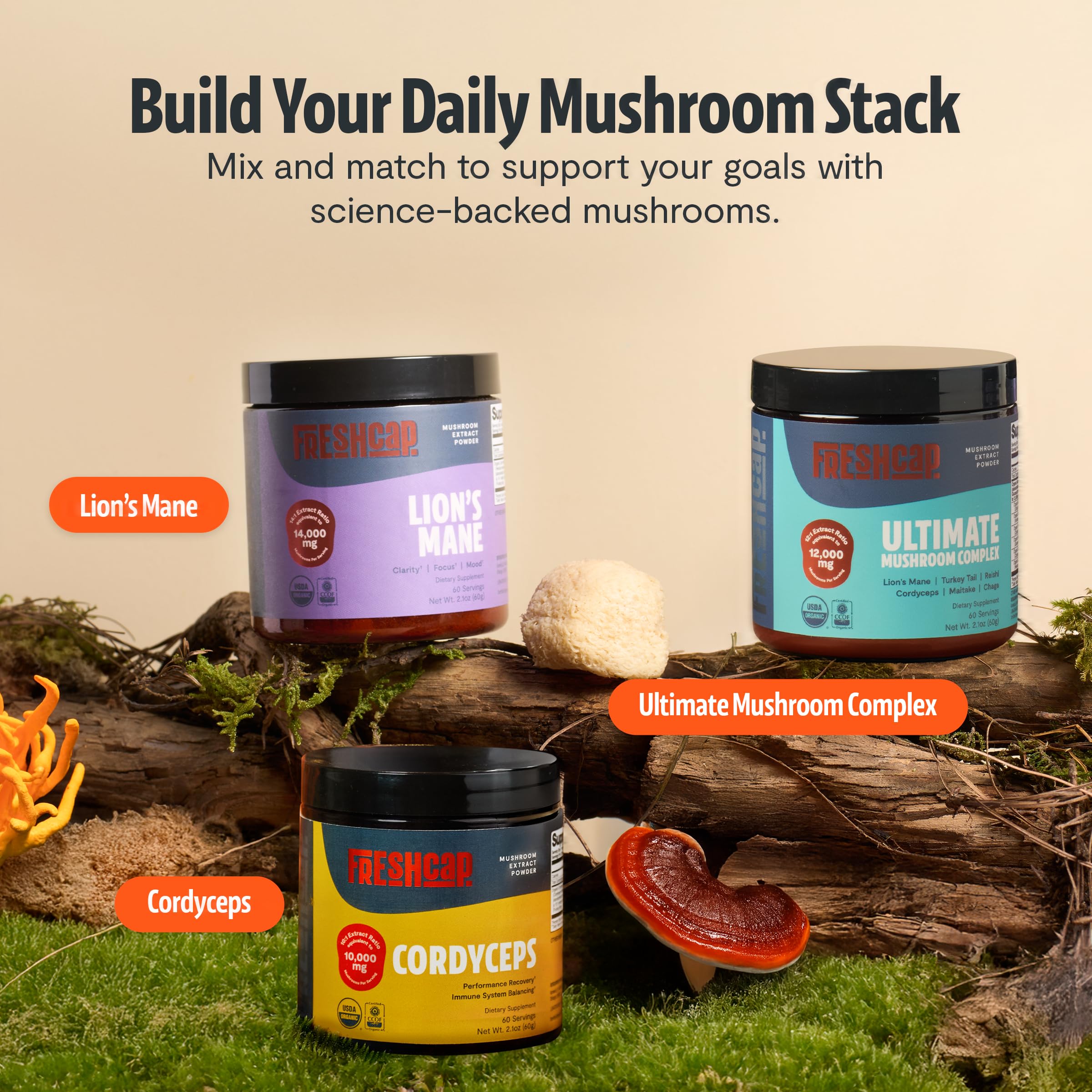 Uso diario de Cordyceps FreshCap para bienestar