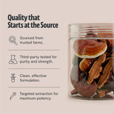 FreshCap Mushrooms Ayurveda Reishi, cuchara medidora incluida para porciones consistentes.