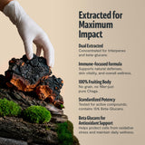 FreshCap Mushrooms Chaga Capsulas muestra la presentación del producto