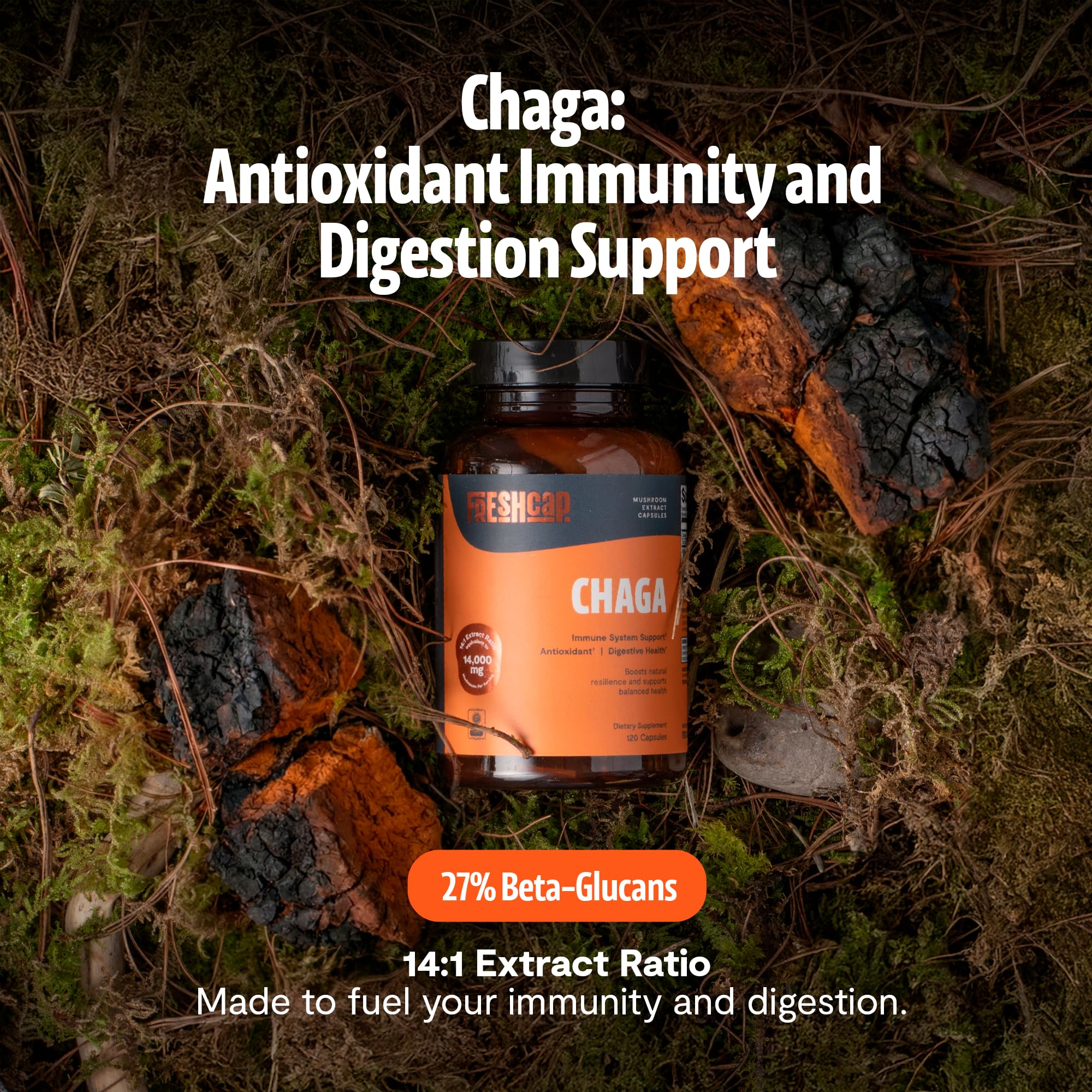 FreshCap Mushrooms Chaga Capsulas en mano, dosis diaria fácil de tomar