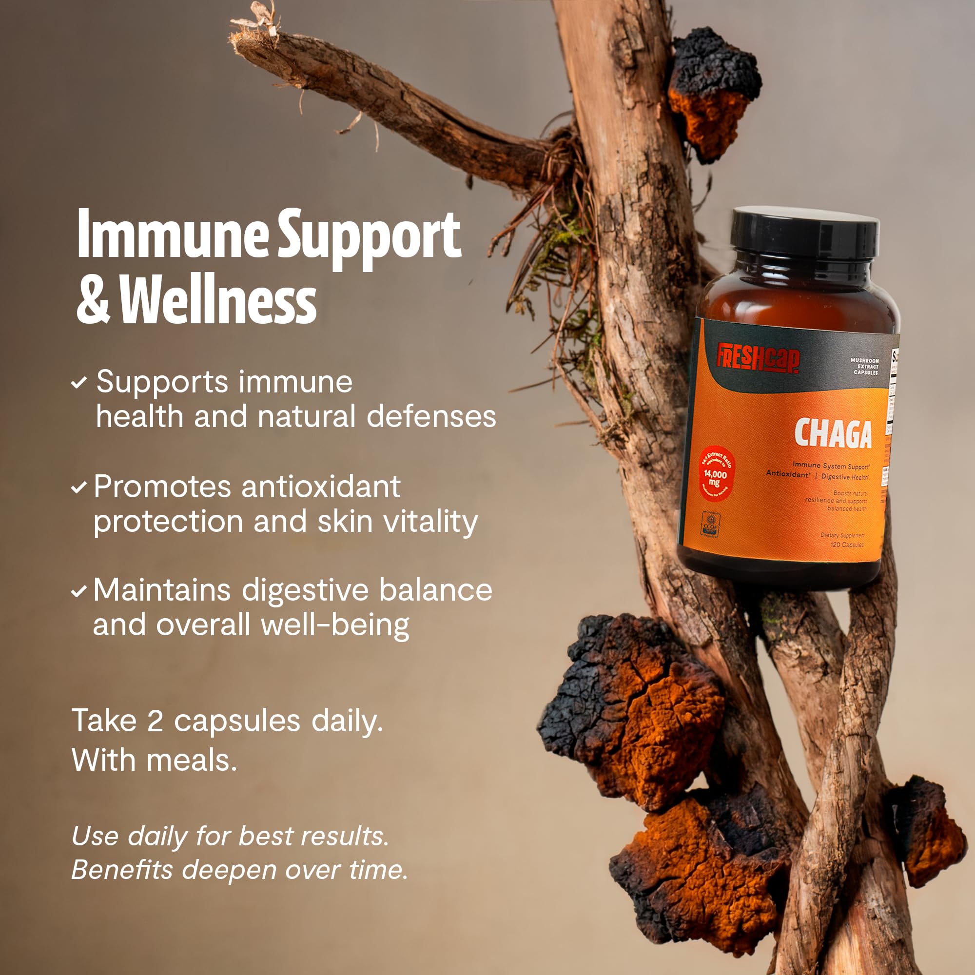 FreshCap Mushrooms Chaga Capsulas extracción dual para mayor biodisponibilidad