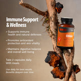 FreshCap Mushrooms Chaga Capsulas extracción dual para mayor biodisponibilidad