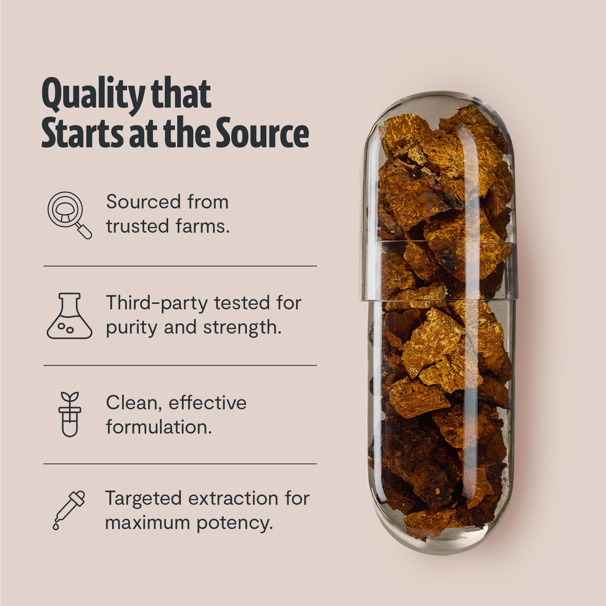 FreshCap Mushrooms Chaga Capsulas pruebas externas de calidad