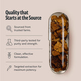 FreshCap Mushrooms Chaga Capsulas pruebas externas de calidad
