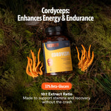 FreshCap Mushrooms Cordyceps: cápsulas en mano para apoyo diario de vitalidad.