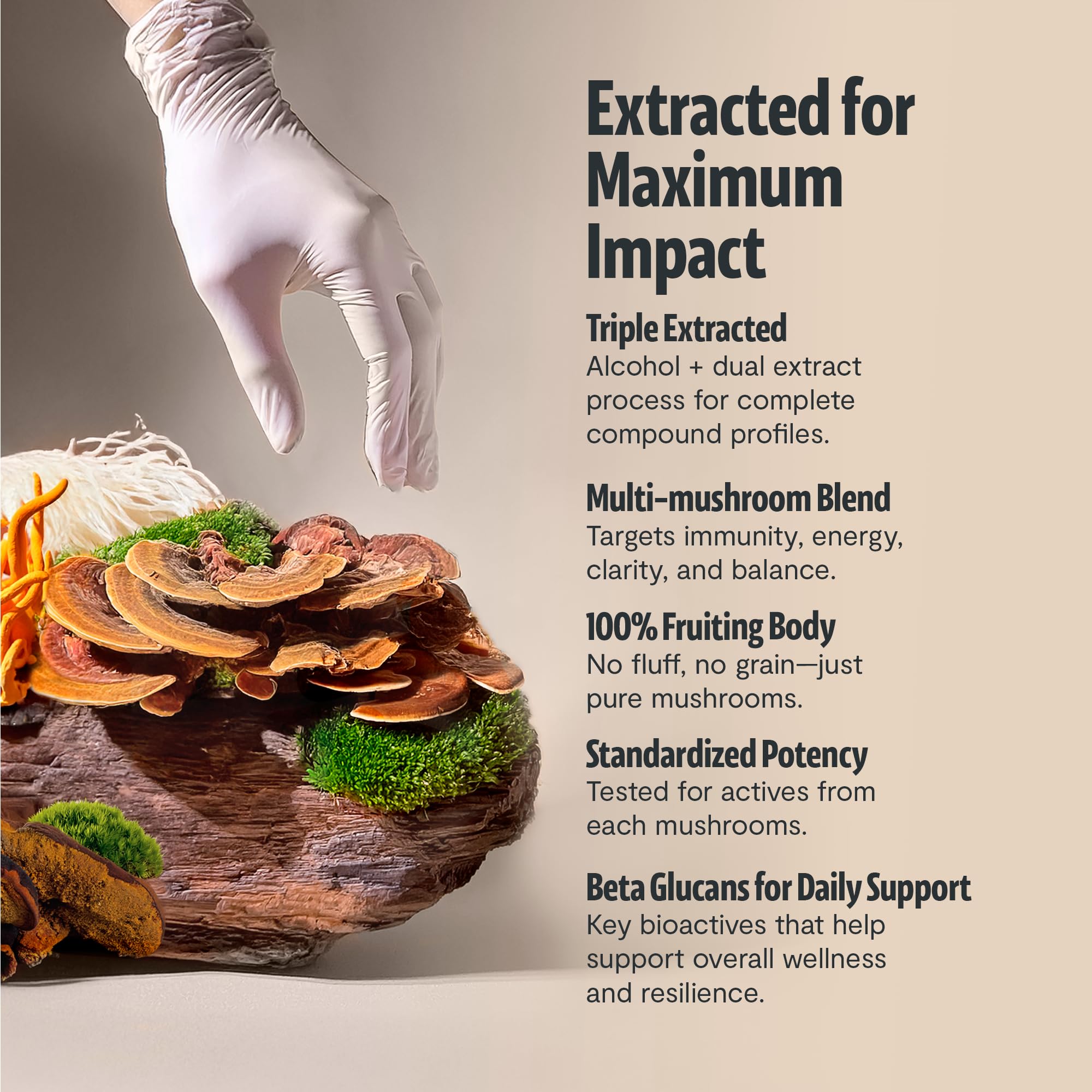 FreshCap Mushrooms: etiqueta frontal destacando ingredientes orgánicos y calidad.