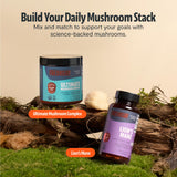 FreshCap Mushrooms melena-de-león rutina diaria de bienestar