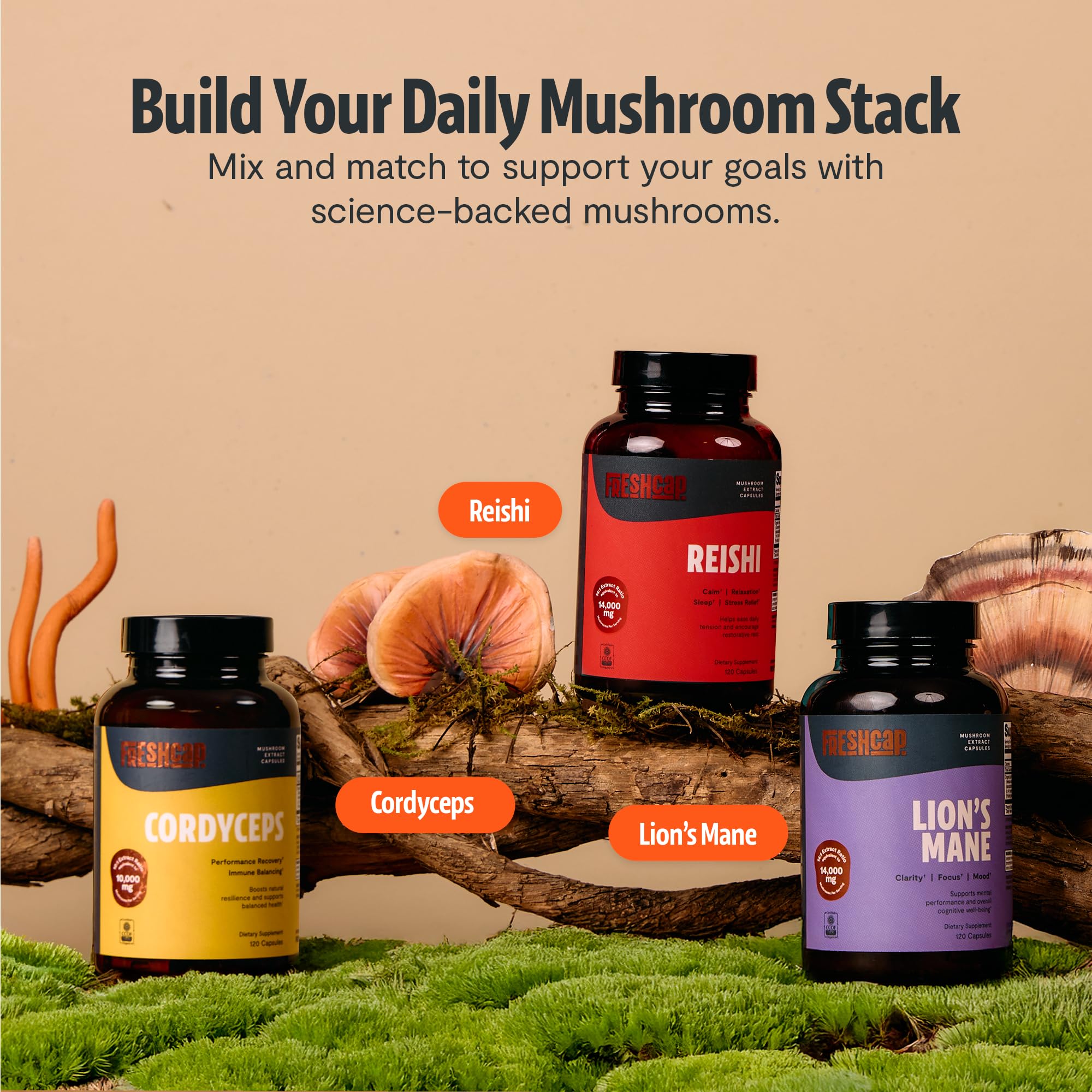 FreshCap Mushrooms Reishi ayuda a mantener calma y balance diario
