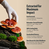 Equivalente a 14,000 mg de hongo Reishi en FreshCap Mushrooms