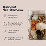 FreshCap Mushrooms cuchara medidora, dosificación fácil para uso diario.
