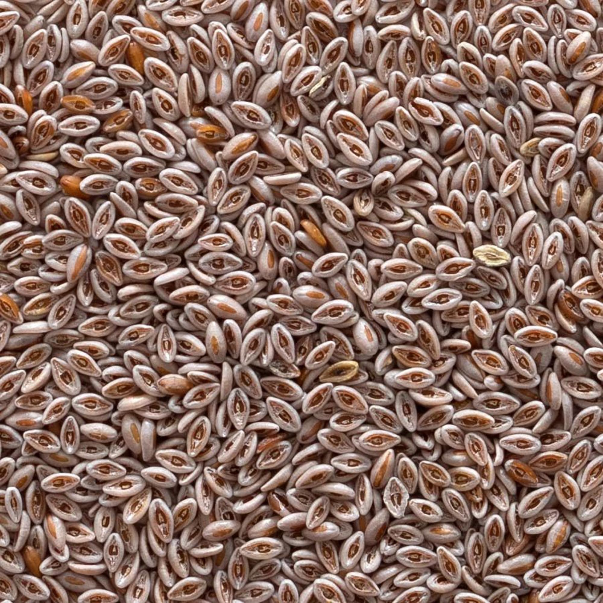 Frontier Co-op semilla psyllium orgánica perfecta para hornear y aumentar la fibra en recetas.
