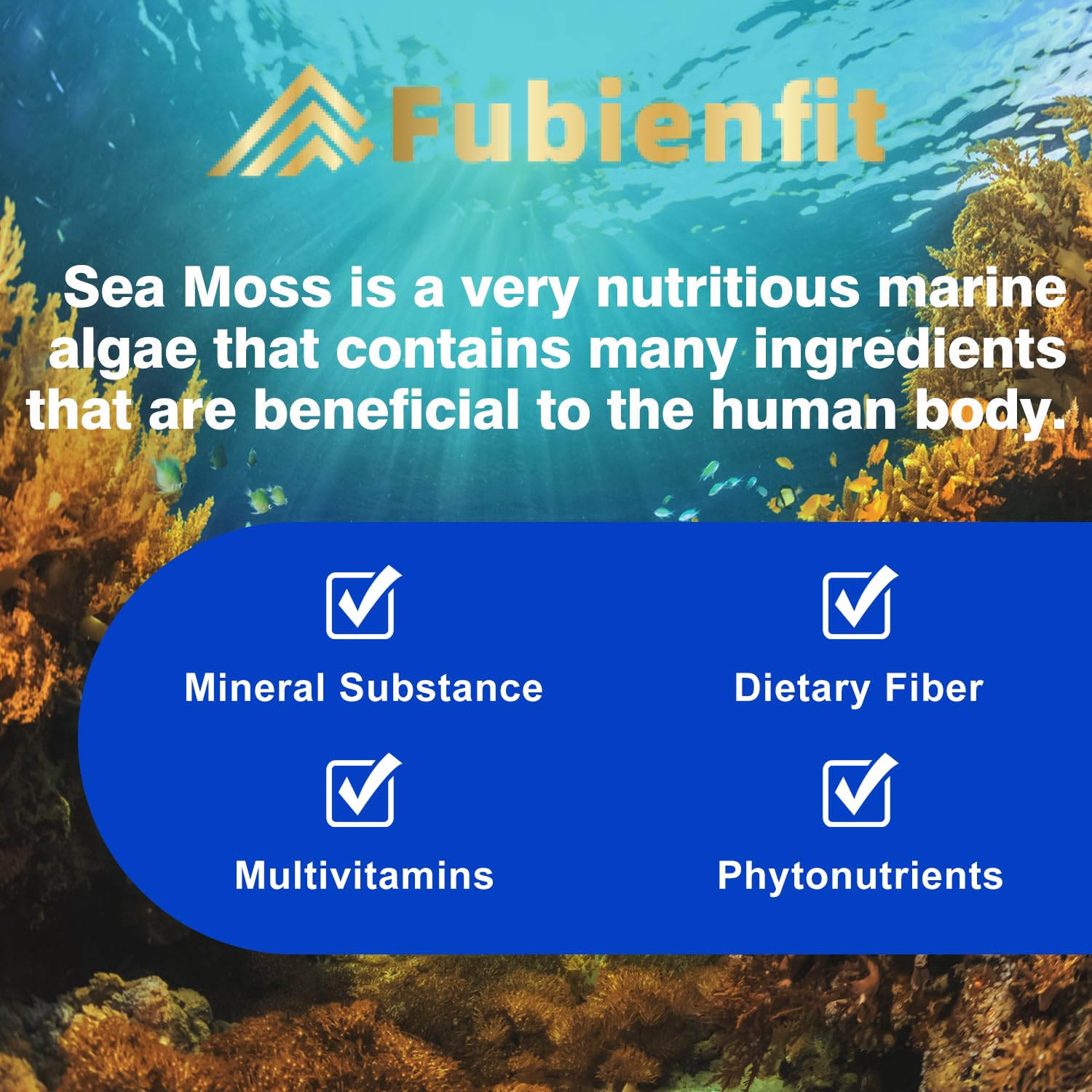 Cápsulas Fubienfit con bladderwrack para una presencia marina en la fórmula.