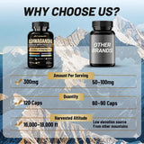 Cápsulas Fubienfit Pimienta negra para mejor absorción.