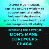 Fully Loaded Alpha Mushroom Pouches en escritorio, apoyo a la concentración