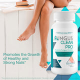 Fungis etiqueta frontal: ingredientes clave para bienestar