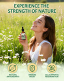 Fynzylarv imagen de moringa y musgo marino para antioxidante.