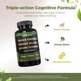 GADE Nutrition, cerebro en enfoque, favorece la claridad mental.