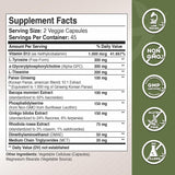 GADE NUTRITION Panax Ginseng, raíces y extracto para resistencia mental