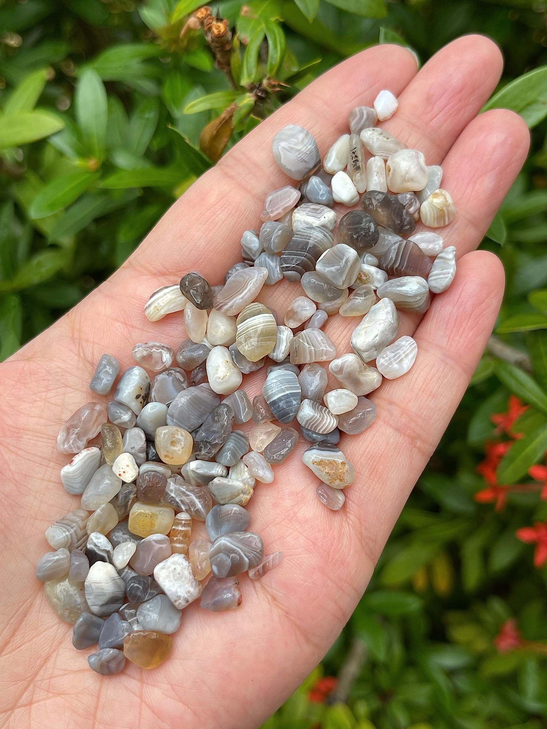 GAF Treasures Botswana Agate Chips sin perforación, ideales para pendientes y collares.