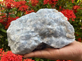 Piedras naturales para colección, combinación de colores azul, GAF TREASURES, exhibición.