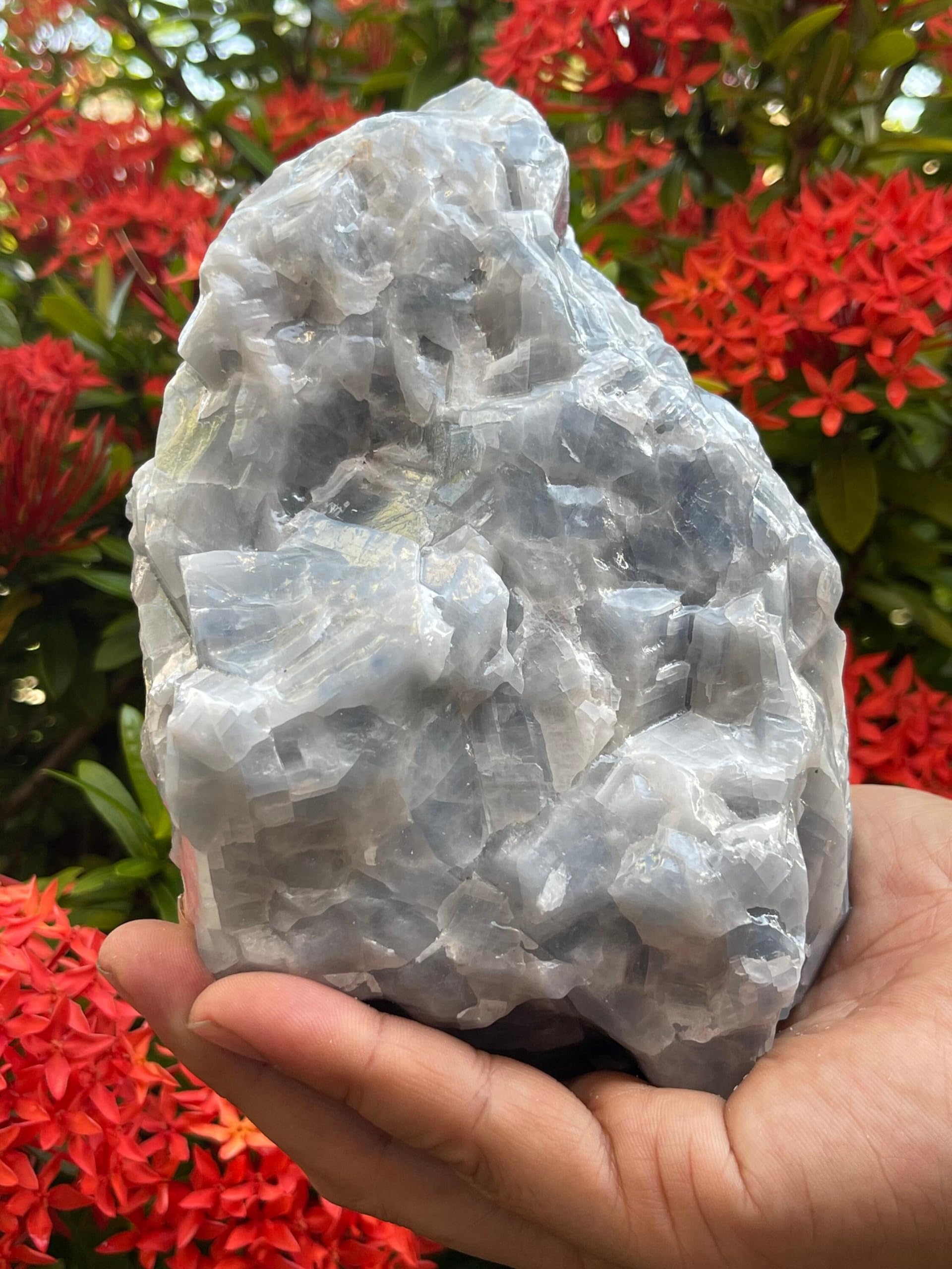 Piedras calcita azul de GAF TREASURES, extra grande natural para exhibición decorativa.