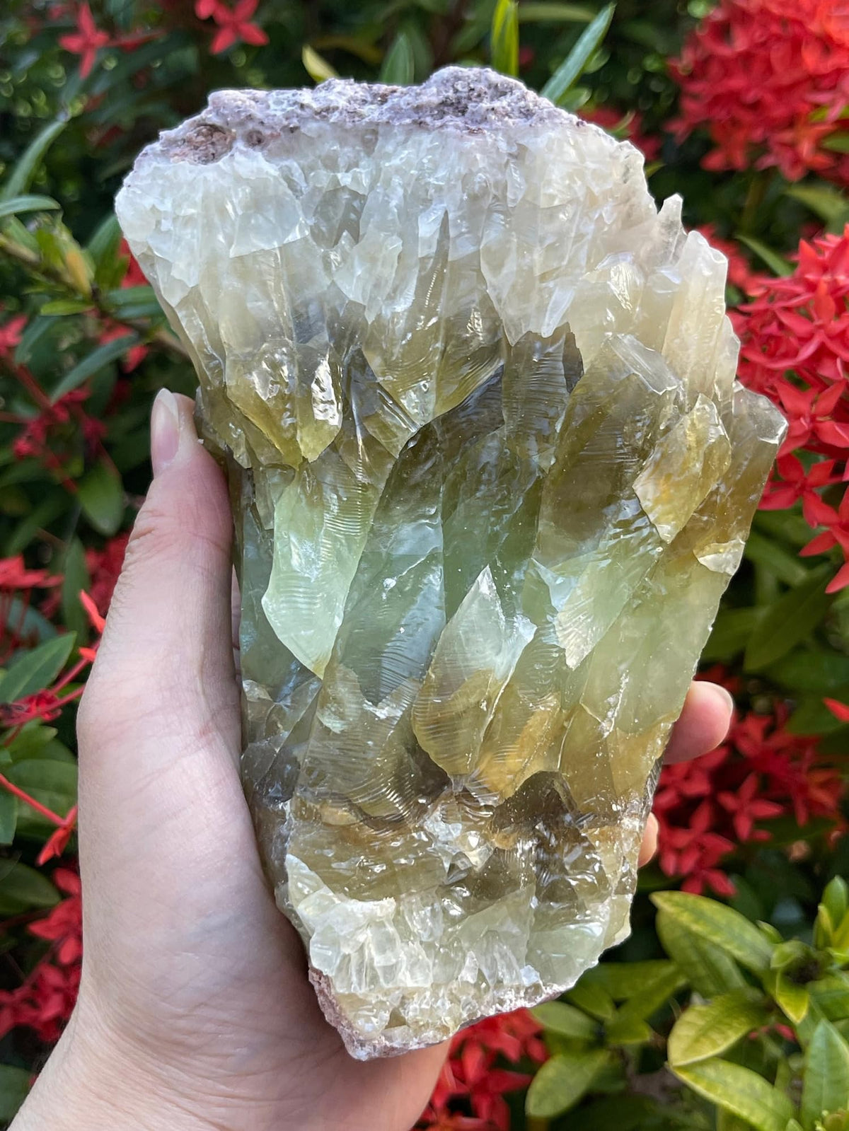 GAF TREASURES Calcita Verde, piedra cruda de gran tamaño para exhibir.