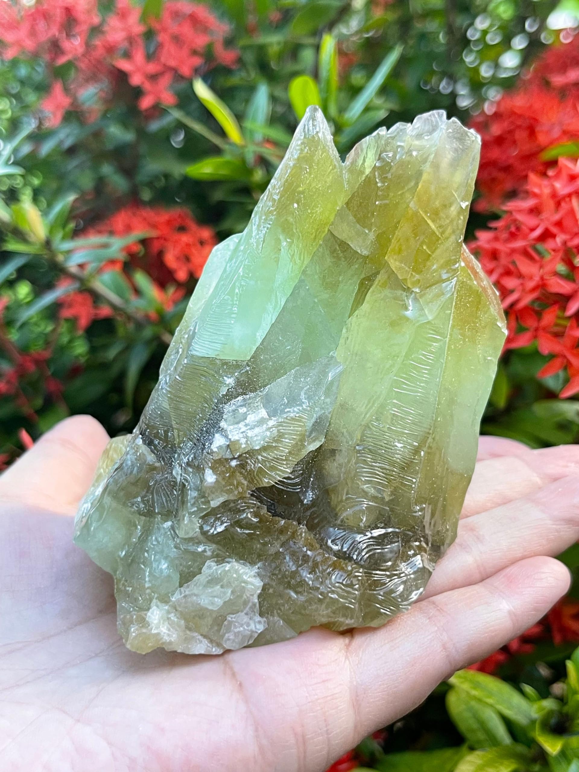 GAF TREASURES Calcita Verde, piedra para pulido y proyectos de joyería.