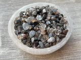GAF TREASURES pequeños pedacitos cuarzo negro rutilado, incrustaciones en madera