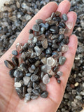 GAF TREASURES pedazos cuarzo negro rutilado, útiles para ramas de árbol de gemas y arte