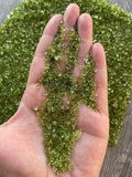 Peridoto genuino semiturado, GAF TREASURES, perfectos para artes y manualidades.