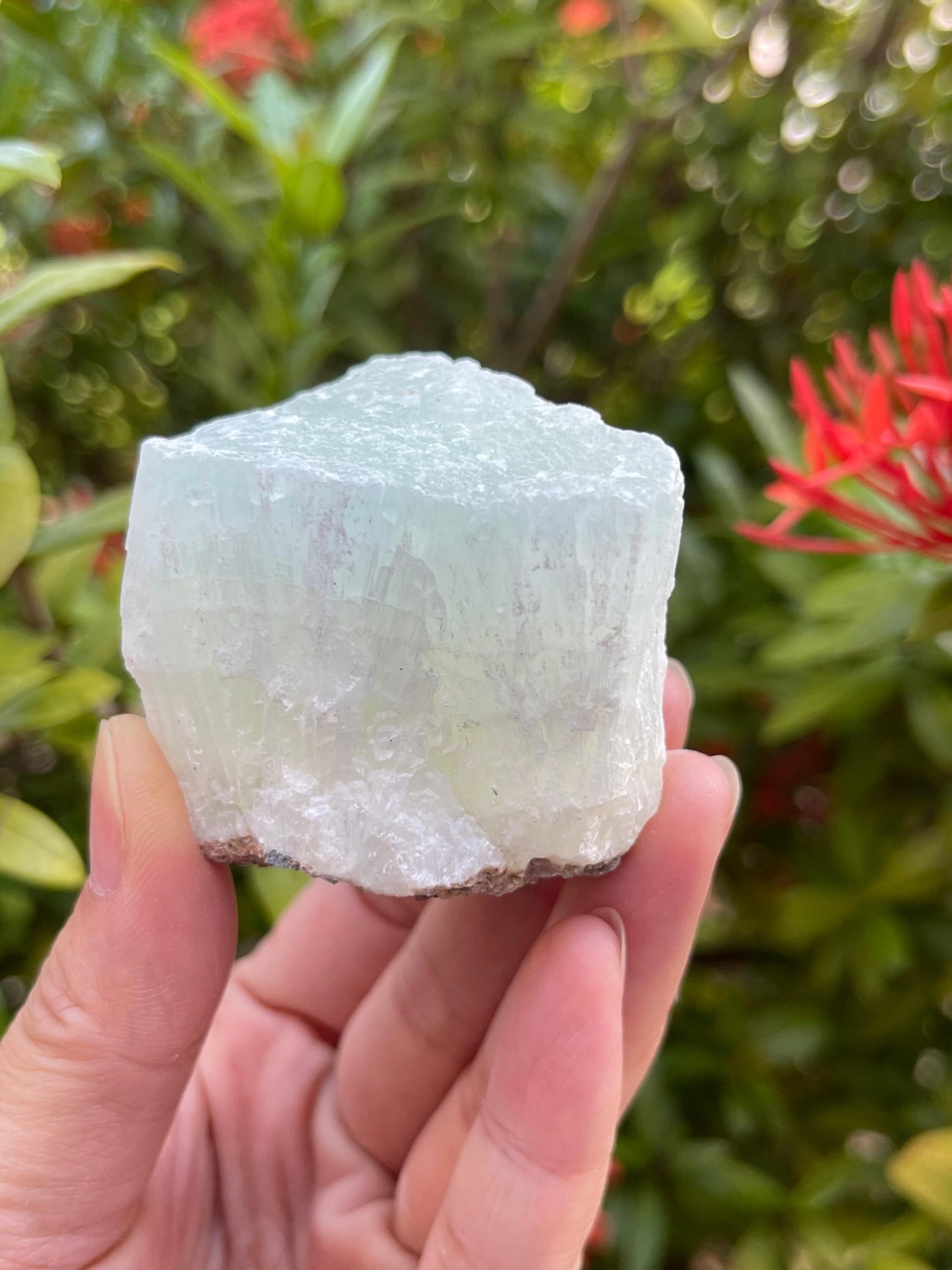 GAF TREASURES Piedra Calcita Pistacho tamaño entre 2 y 3 pulgadas para exhibición