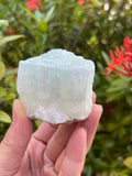 GAF TREASURES Piedra Calcita Pistacho tamaño entre 2 y 3 pulgadas para exhibición